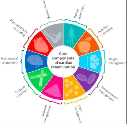 image about Can Heart Deterioration Be Halted Before Reaching a Critical Stage? What Modern Treatments Say