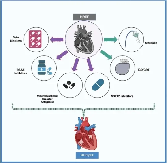 image about Can Heart Deterioration Be Halted Before Reaching a Critical Stage? What Modern Treatments Say