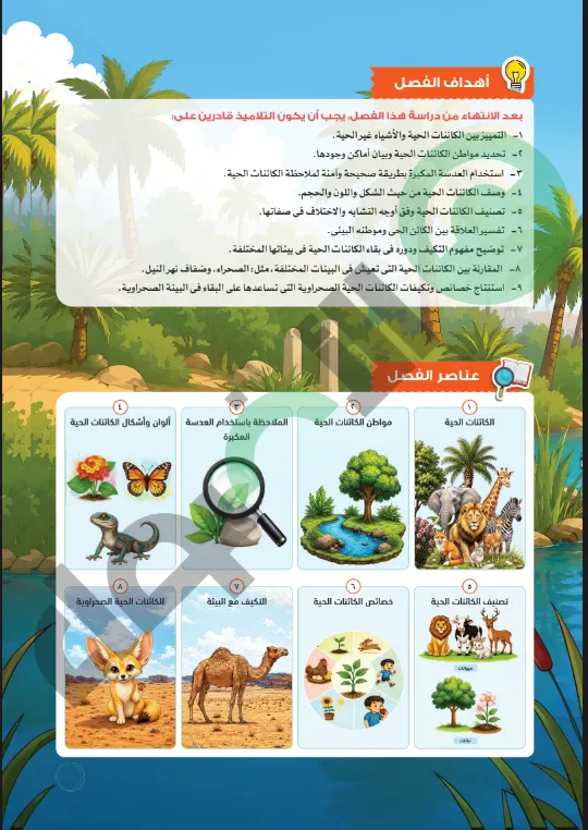 image about تحميل كتاب الأضواء علوم رابعة ابتدائي ترم أول 2027 PDF