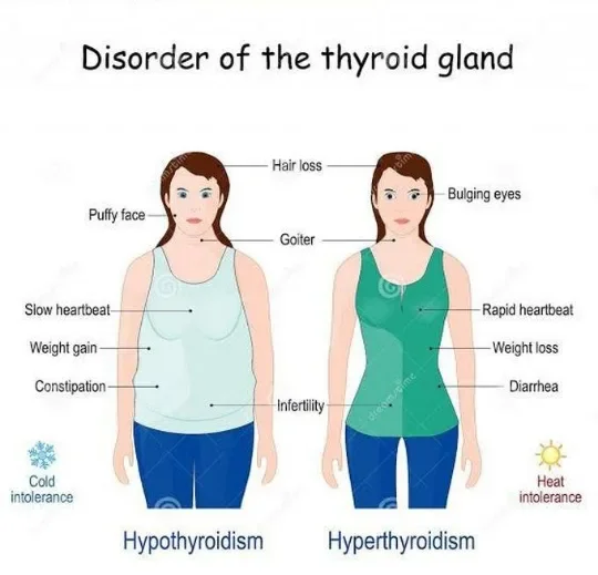 image about Thyroid Disorders, Weight Changes, and Pulse Irregularities: How Symptoms Overlap and Causes Differ
