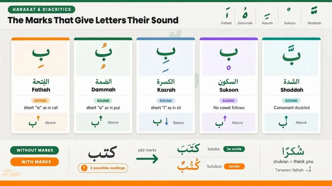 image about Arabic Letters of the Alphabet, Full 28-Letter Chart and Sounds
