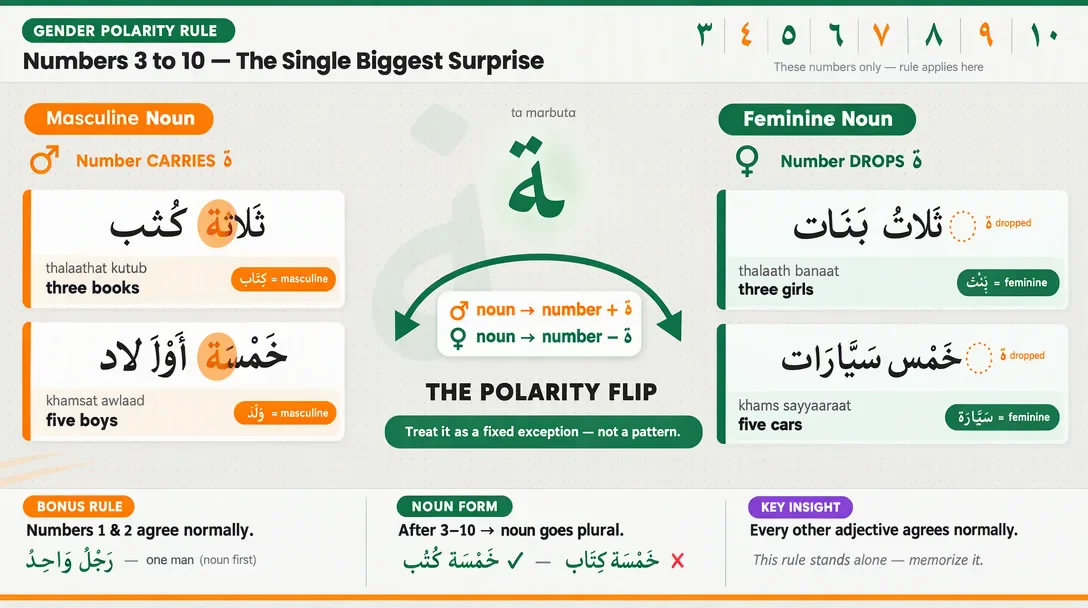 image about Arabic Numbers in Arabic: Pronunciation, Charts, and Grammar Rules