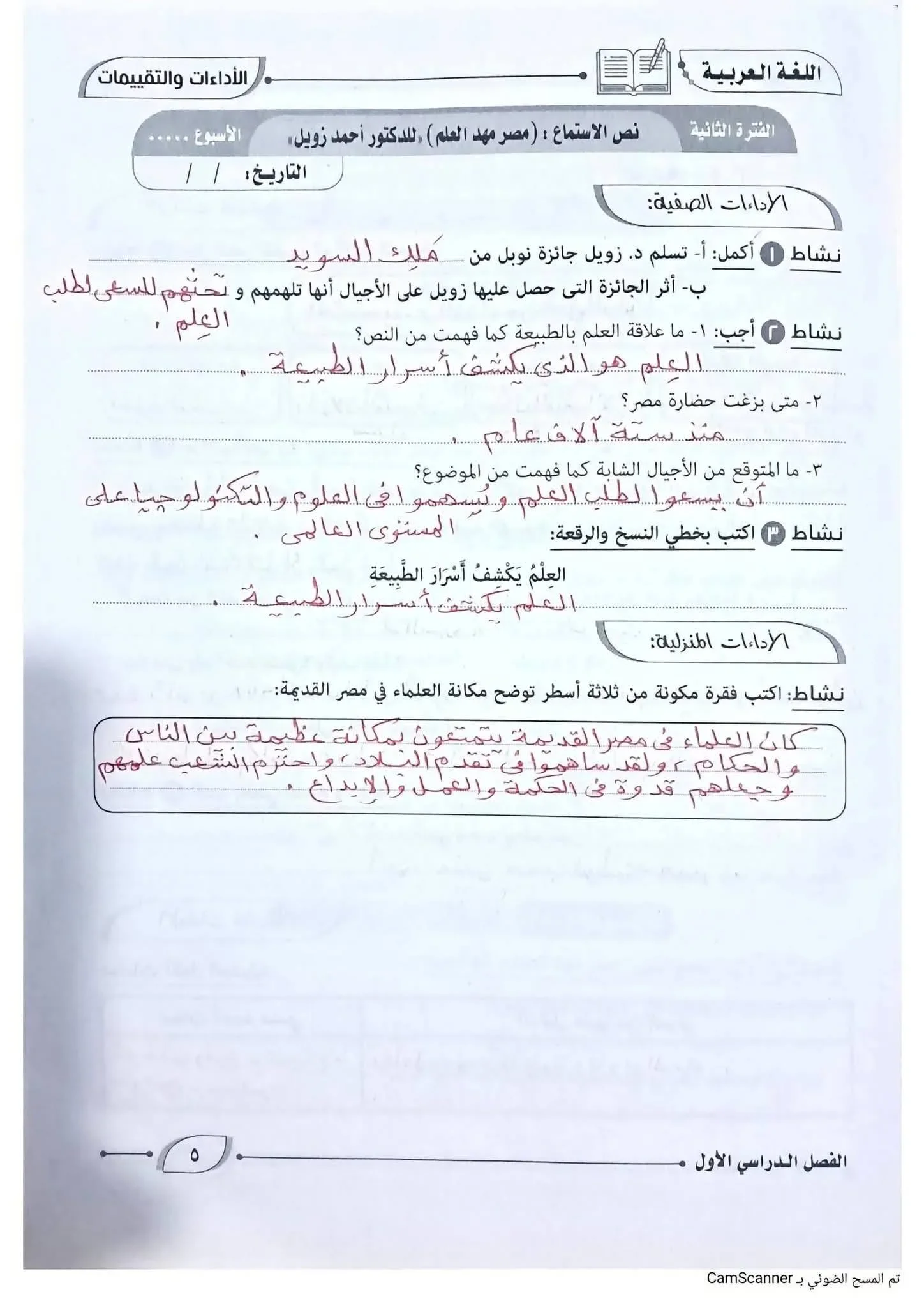 image about حل كتاب التقييمات لغة عربية للصف الأول الإعدادي الترم الأول 2027