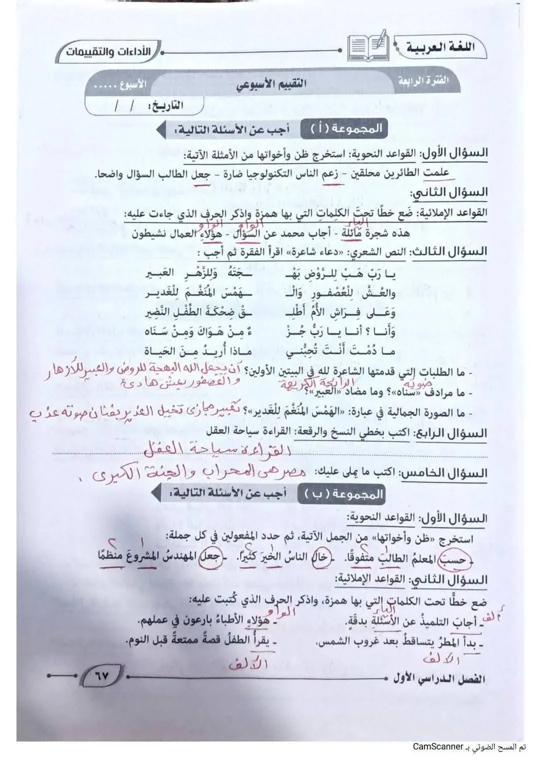 image about حل كتاب التقييمات لغة عربية للصف الأول الإعدادي الترم الأول 2027