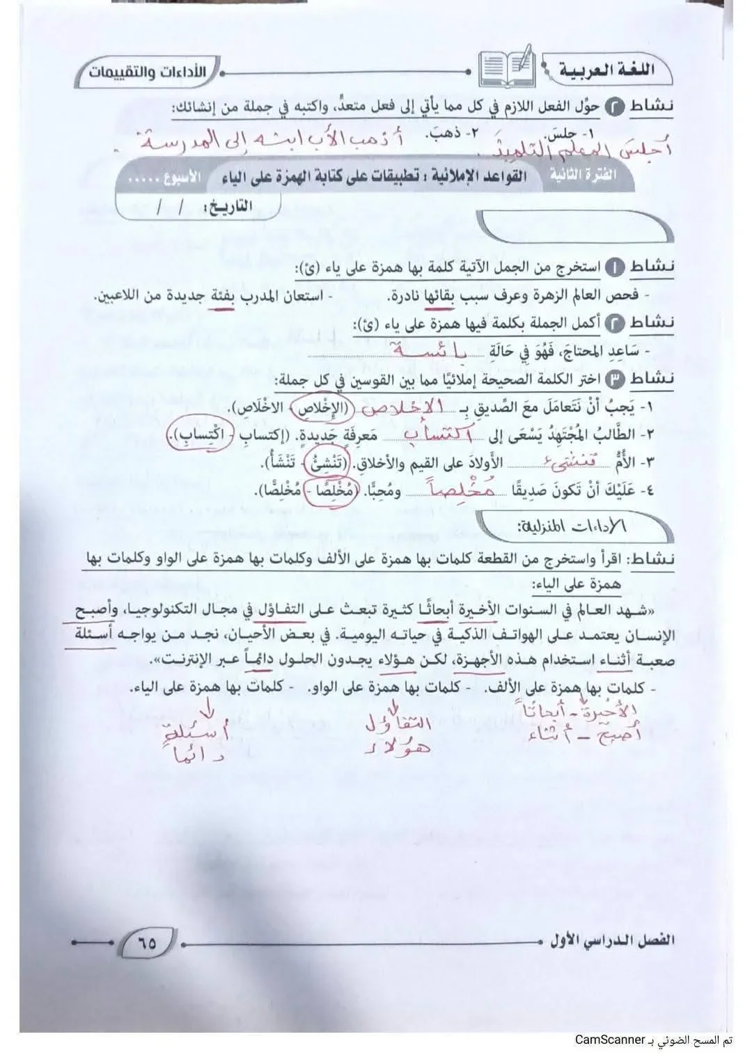 image about حل كتاب التقييمات لغة عربية للصف الأول الإعدادي الترم الأول 2027