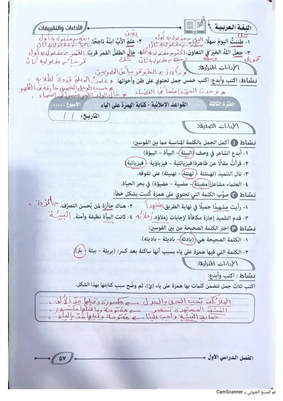 image about حل كتاب التقييمات لغة عربية للصف الأول الإعدادي الترم الأول 2027