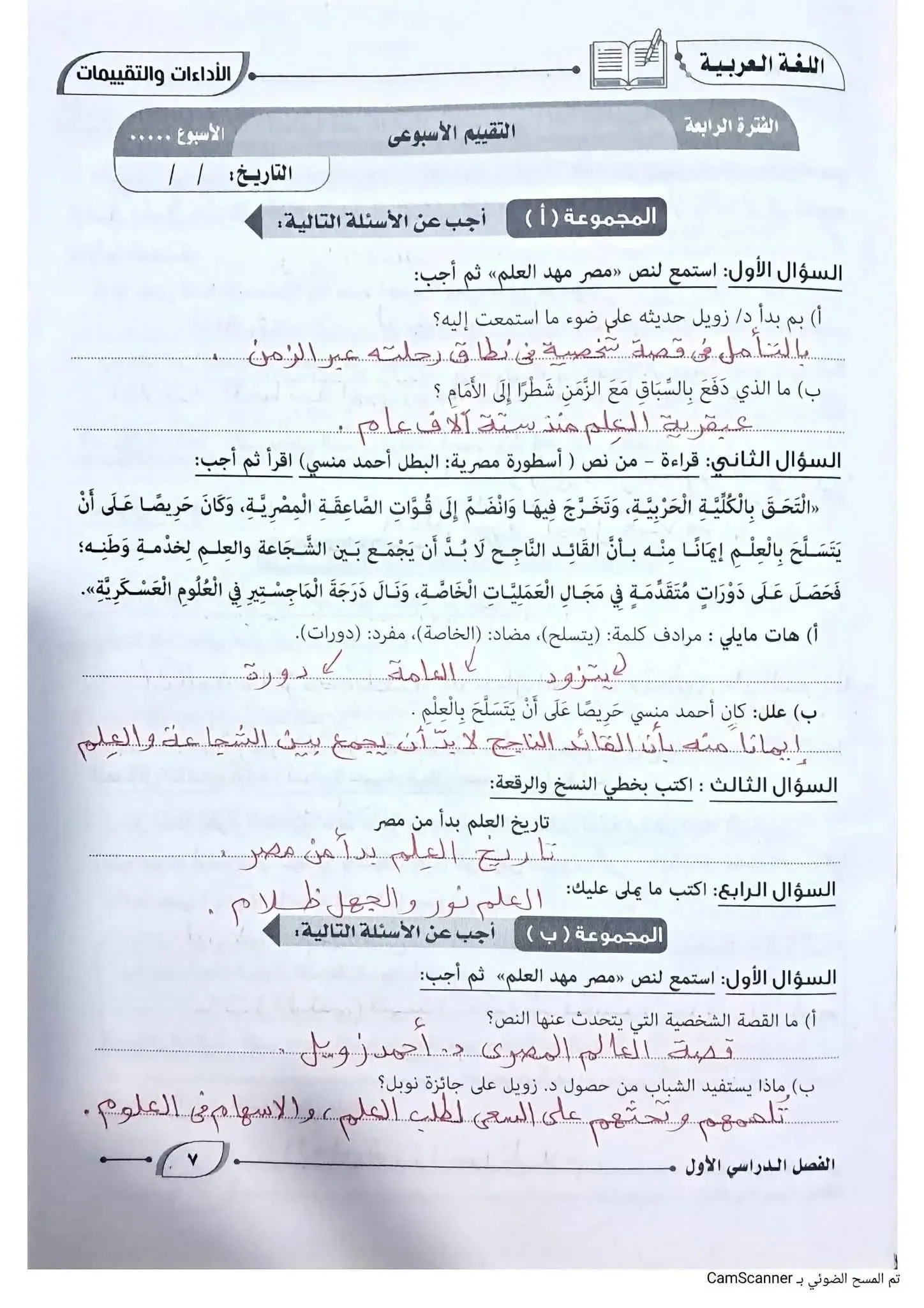 image about حل كتاب التقييمات لغة عربية للصف الأول الإعدادي الترم الأول 2027