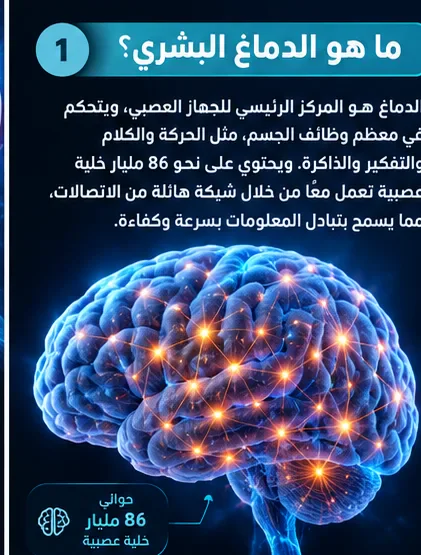 image about أسرار الدماغ البشري: كيف يعمل أعقد عضو في جسم الإنسان، هل تساءلت يومًا كيف يستطيع الإنسان التفكير 