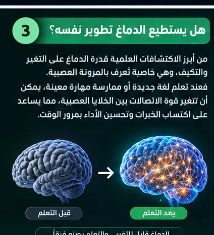 image about أسرار الدماغ البشري: كيف يعمل أعقد عضو في جسم الإنسان، هل تساءلت يومًا كيف يستطيع الإنسان التفكير 