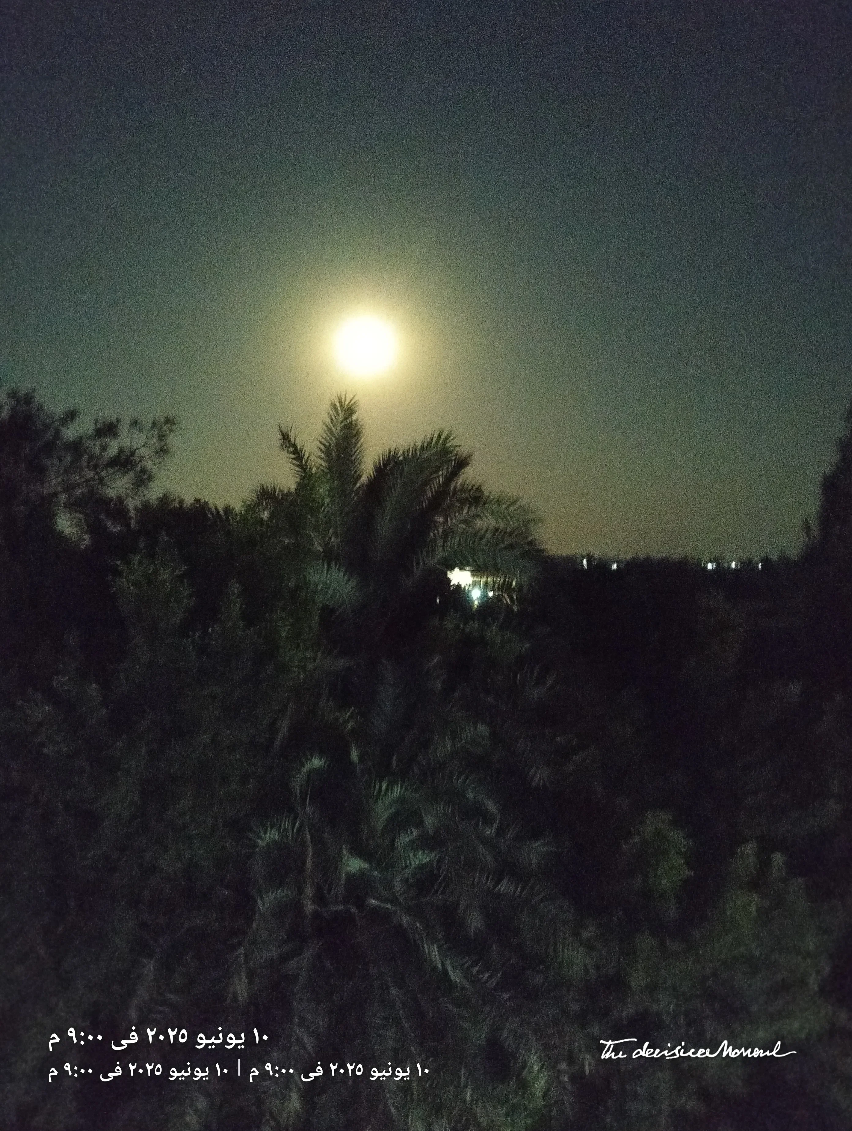 image about سيره ابو بكر الصديق
