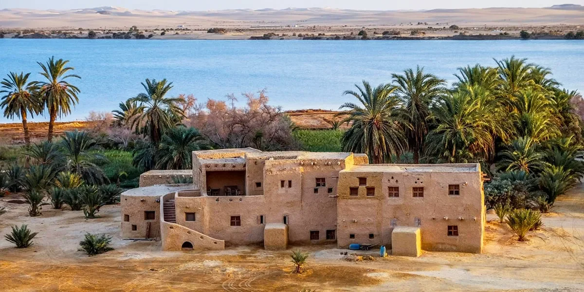 image about سيوة التي أعرفها
