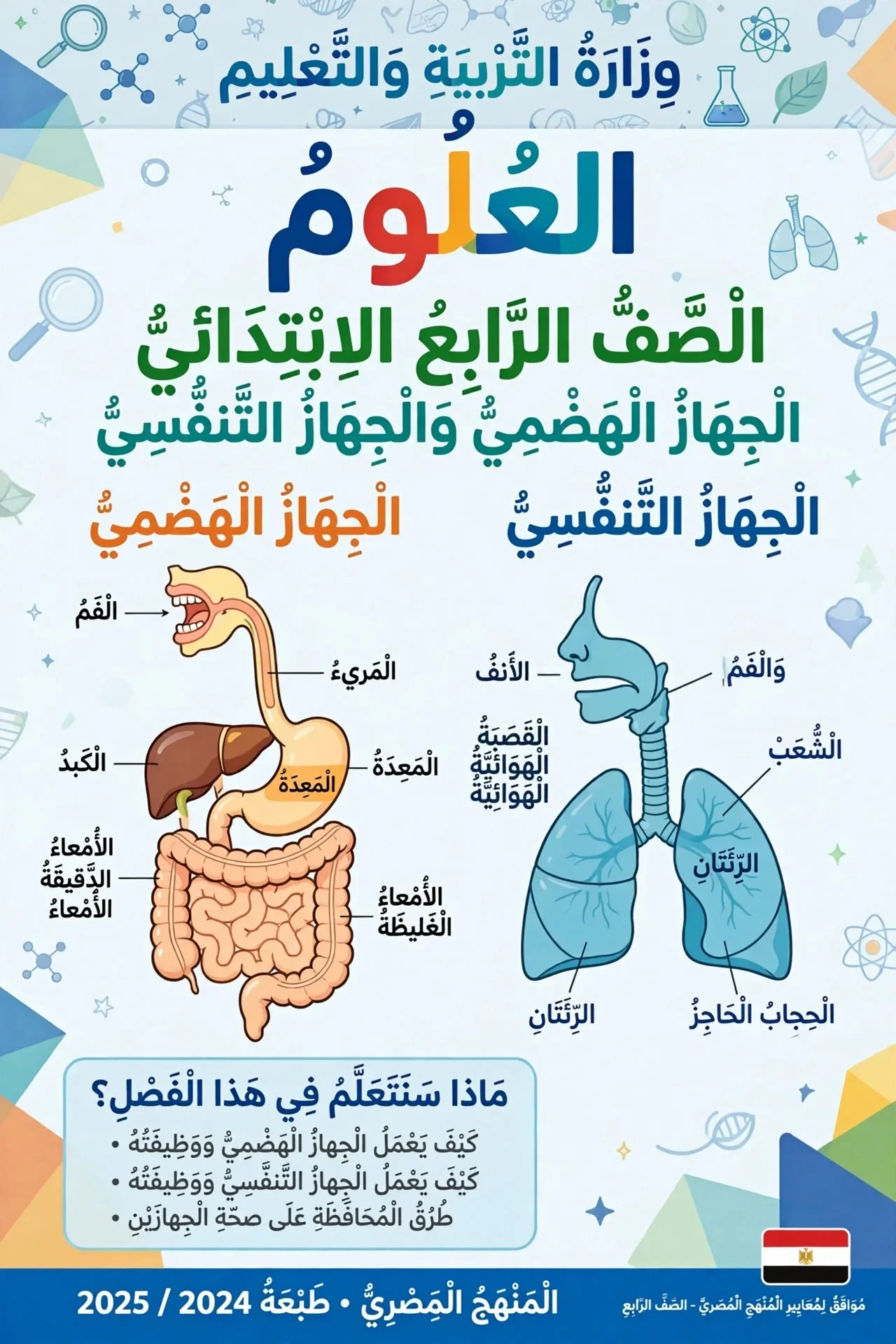 image about ملخص مادة العلوم للصف الرابع الابتدائي الترم الاول - الجهاز الهضمي والجهاز التنفسي ودورة الماء في الطبيعة