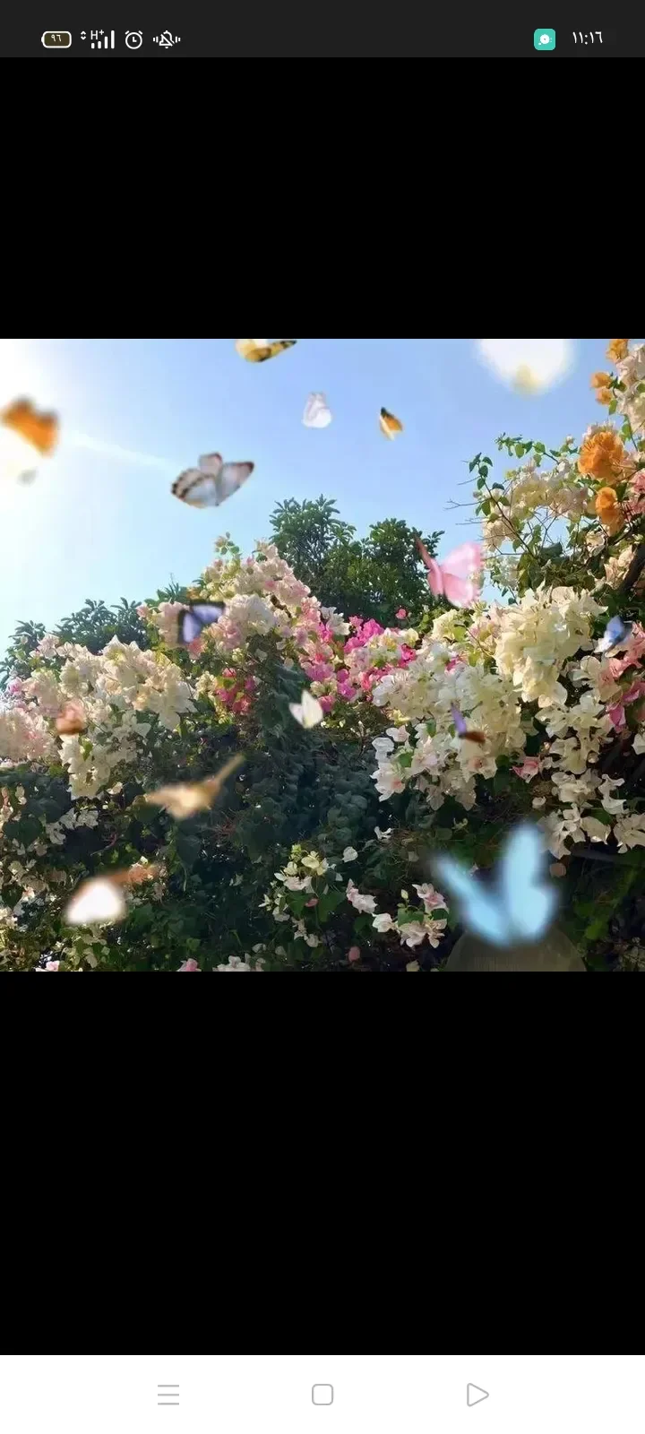 image about قلوب جمعها الوفاء واختبرها القدر 