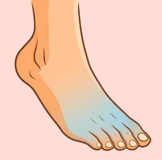 image about هل تكشف أظافرك ولون جلد قدميك عن مشكلة في الدورة الدموية؟