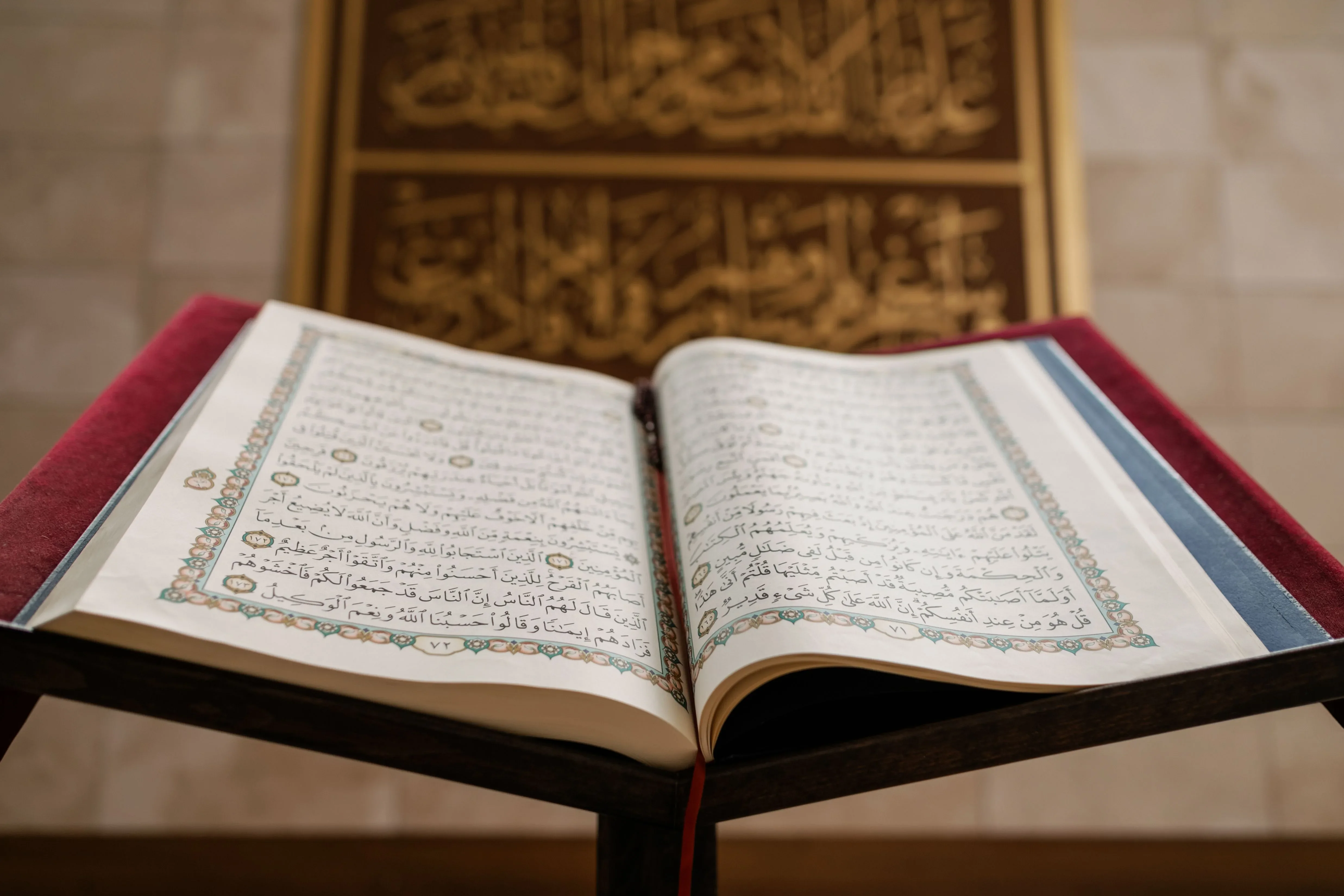 image about القرآن الكريم.. كيف يغيّر حياة الإنسان؟ 