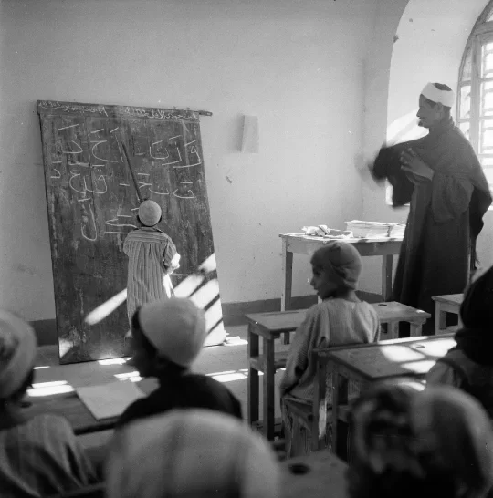 image about خمسون عامًا من الحرب