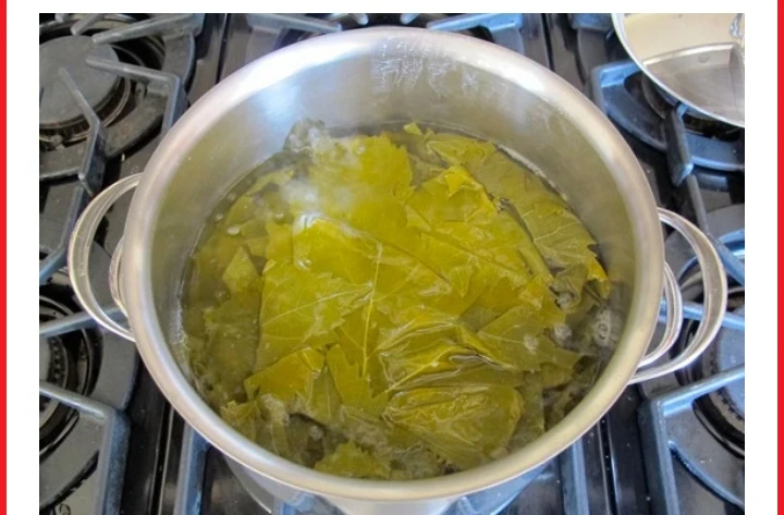 image about طريقه عمل محشي ورق العنب بكل انواعه بطريقه المصريه