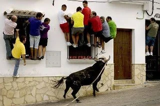 image about صور هزلية من الشرق والغرب ( حتى فى طلب وظيفة في مدينة دبى )