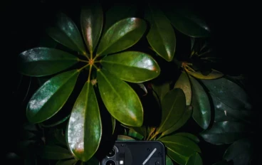 أوبو تعلن عن هاتف Oppo Reno
