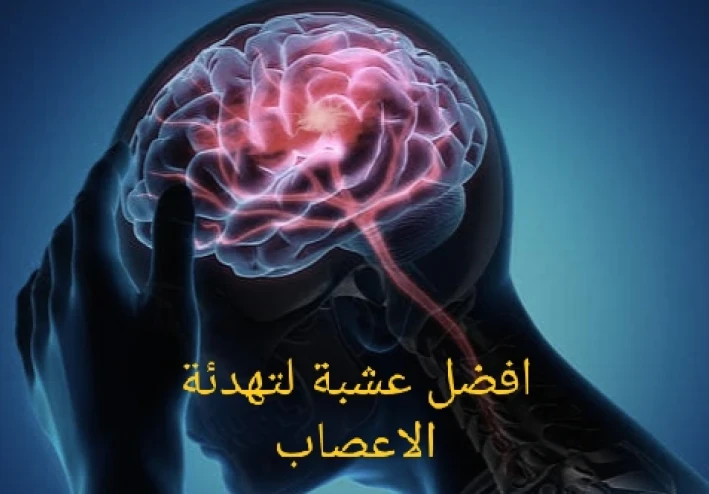 "الأعشاب المهدئة للأعصاب: خيارات آمنة وفعالة لتحسين الصحة العامة وتخفيف التوتر والقلق"