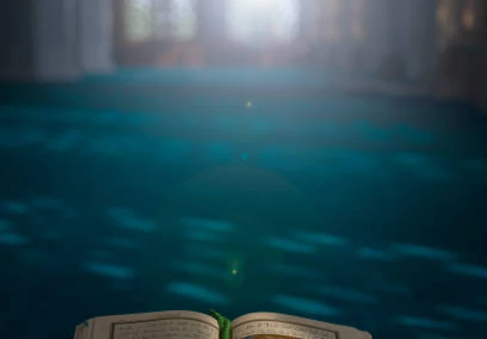 سورة فصلت مكتوبة كاملة بالتشكيل