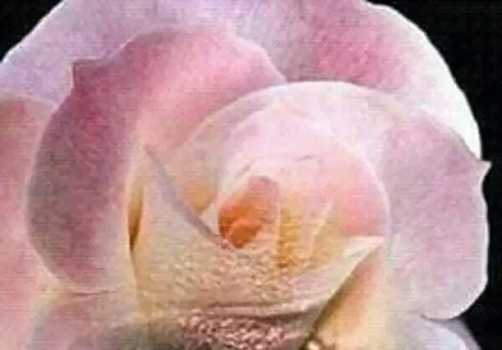 قصة مرثية الاحزان