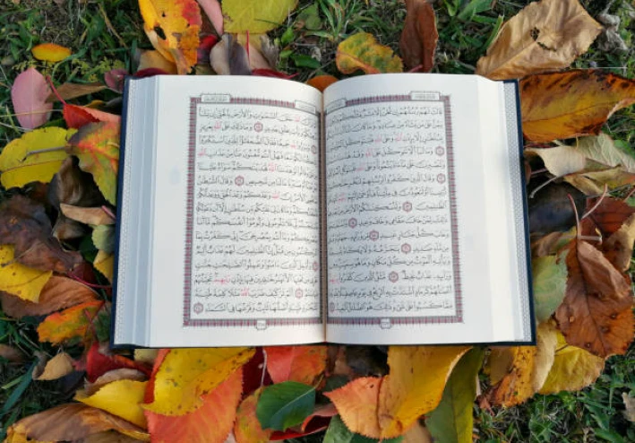 سورة الفتح مكتوبة كاملة بالتشكيل