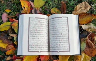 سورة الفتح مكتوبة كاملة بالتشكيل