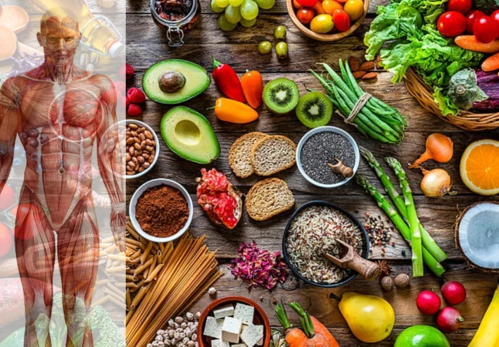 الطب البديل - العلاج بالأعشاب للرعاية الصحية الأولية - الجزء الثالث