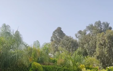 ليست صدفة إطلاقا