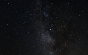 الجمل(حيوان أليف نوع من الجن؟) 