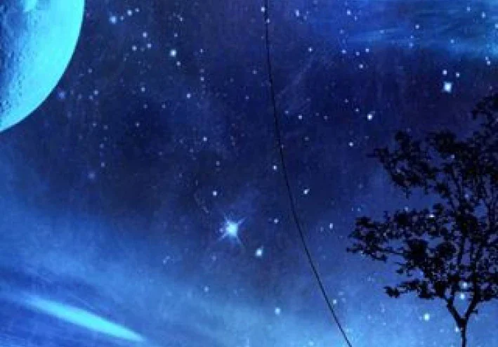 مهاجرة  من الخيال لمهند دماج