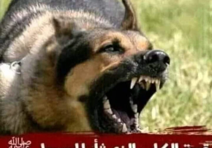 قصة الكلب الذي ثأر للنبي صلى الله عليه وسلم