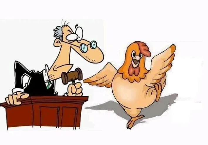 دجاجة القاضي والفقير المسكين  والجزار .