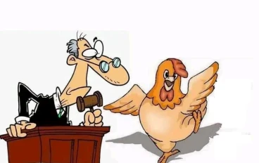 دجاجة القاضي والفقير المسكين  والجزار .