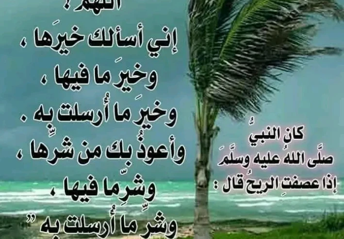 سنن الوضوء و مبطلات الوضوء