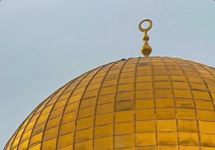 ما  أخبارك  يا  فلسطين  الحبيبة