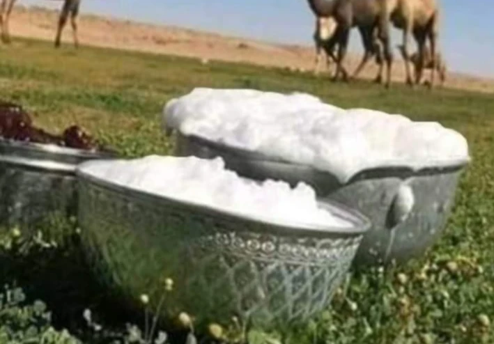معلومات عن حليب الإبل والعلاج الفعال لفيروس الكبد