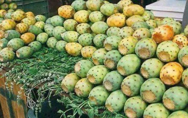 فوائد الصبار للجسم و البشرة والشعر