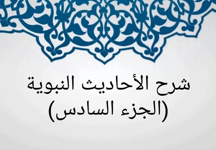 شرح الأحاديث النبوية (الجزء السادس)