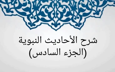 شرح الأحاديث النبوية (الجزء السادس)