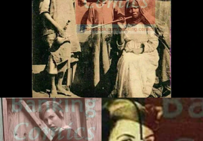 أشهر الحكايات من بدروم التاريخ