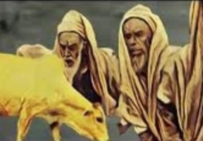 قصة بقرة بني اسرائيل: من أجمل القصص في القرآن الكريم