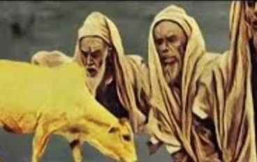 قصة بقرة بني اسرائيل: من أجمل القصص في القرآن الكريم