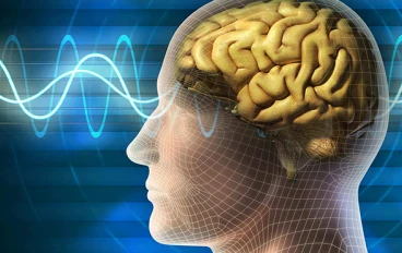 أشهر أمراض الجهاز العصبي (CNS)