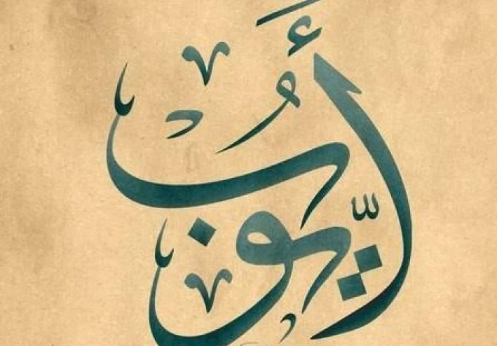 قصص الأنبياء: أيوب عليه السلام - ج٢
