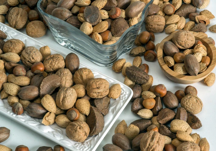 زراعة الجوز البرازيلي