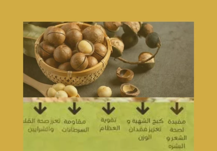 أهمية زراعة الميكاديميا