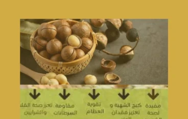 أهمية زراعة الميكاديميا 