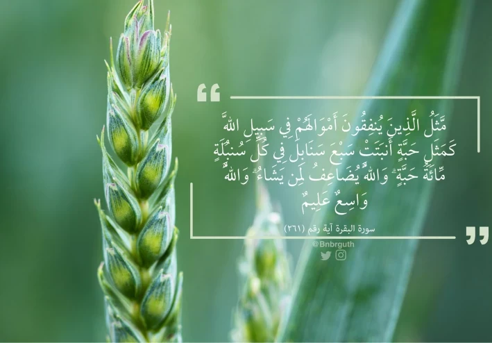 الإنفاق في سبيل الله